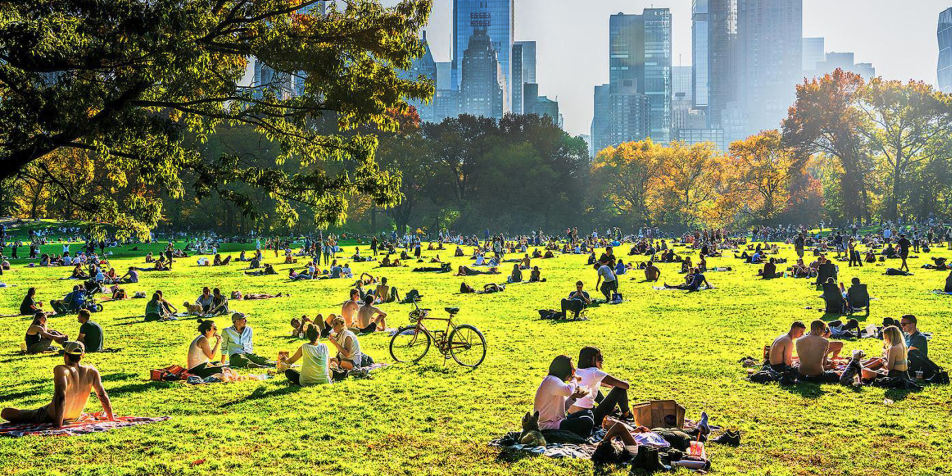 People enjoying an urban park with a city skyline — CityParks visitation analytics