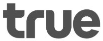 CityData.AI customer logo