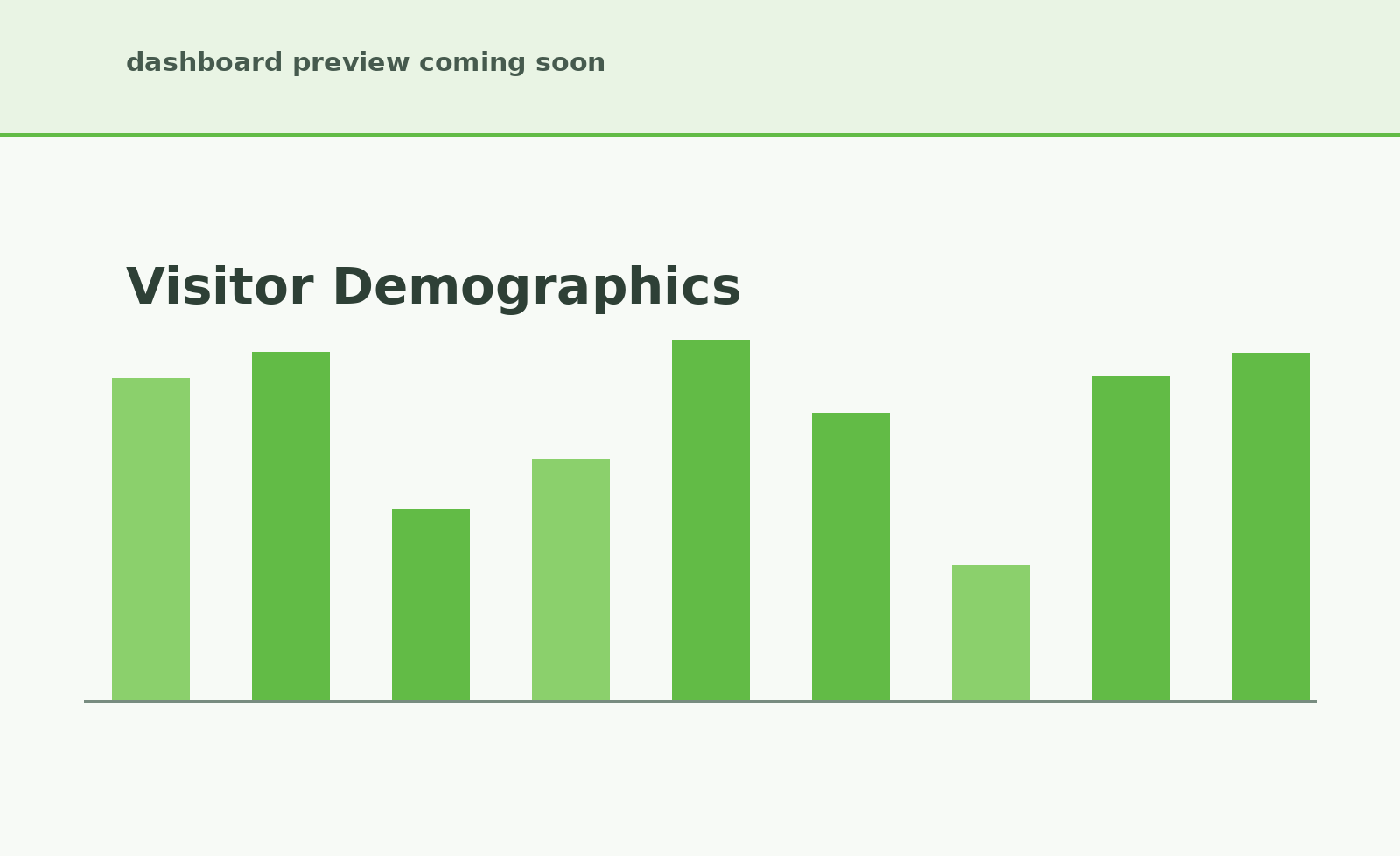 Visitor demographics in CityEconomy